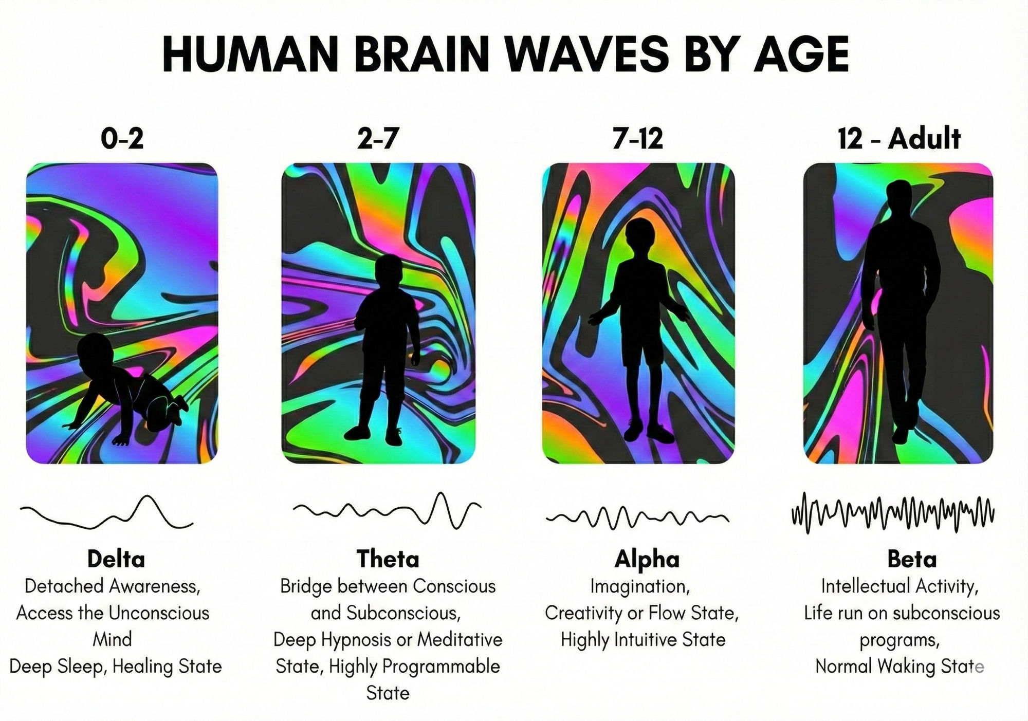 Human brain waves by age: Delta (0-2), Theta (2-7), Alpha (7-12), Beta (12-adult), showing how children live in highly programmable, intuitive states