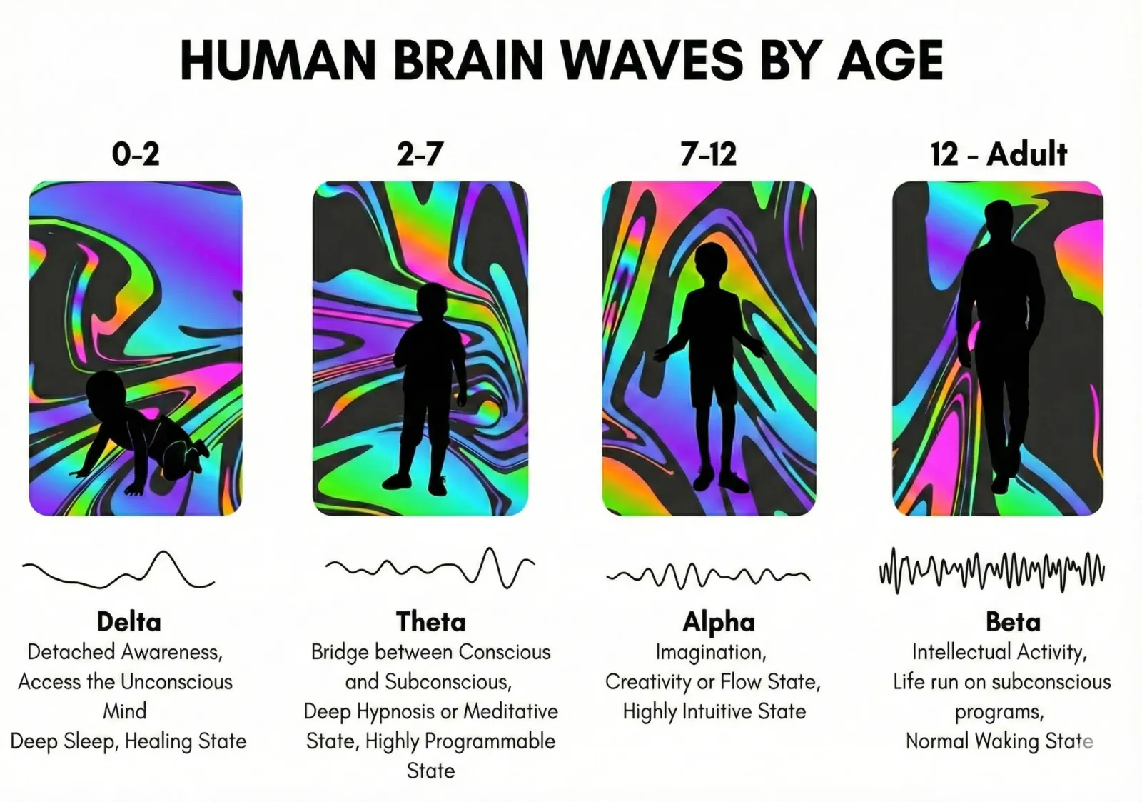 Human brain waves by age: Delta (0-2), Theta (2-7), Alpha (7-12), Beta (12-adult), showing how children live in highly programmable, intuitive states