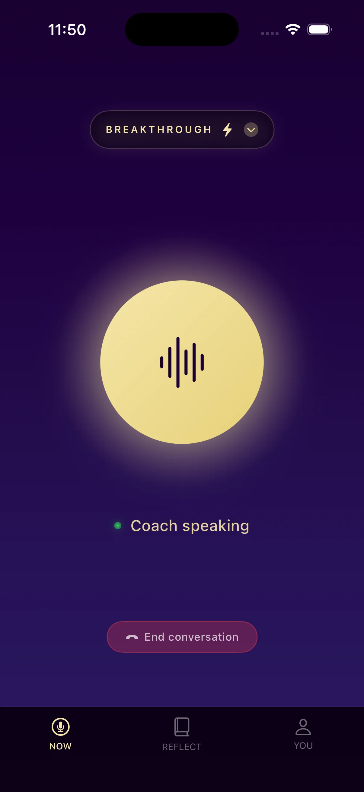 Voice conversation interface